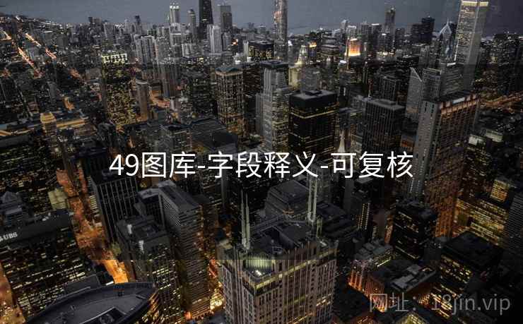 49图库-字段释义-可复核